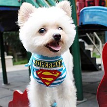 ۞芙芙遊樂園۞寵物寶貝狗狗衣服冬裝斗篷四腳寵物衣服蘇菲亞公主風衣服披風 格紋披肩 歷史價格詳細信息