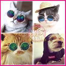 愛狗寵物❤日系動物甜甜圈毛絨發聲狗玩具六款超可愛 狗娃娃 BB玩具 柯基 犬玩具 啾啾玩具 歷史價格詳細信息