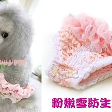 @幸福寵舖＠中壢寵物精品【狗狗啾啾玩具足球-小】實品好看有小的中的喔~ 歷史價格詳細信息