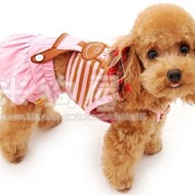 2米3米狗狗牽引繩狗繩子遛狗泰迪金毛寵物大型中型小型犬狗鏈胸背 歷史價格詳細信息