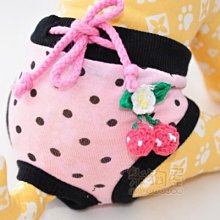 【米狗屋】cheer三層蕾絲網綁帶生理褲-白底˙XS、S、M、L、XL號˙中型可 歷史價格詳細信息