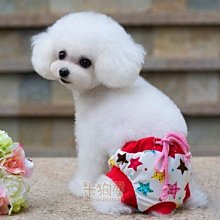 【米狗屋】cheer三層蕾絲網綁帶生理褲-白底˙XS、S、M、L、XL號˙中型可 歷史價格詳細信息