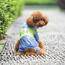 半透明超輕雨衣寵物雨衣 狗雨衣 貓雨衣 寵物風衣 防水透氣雨衣 價格比較,價格查詢,歷史價格詳細信息