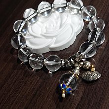 ️????????平安幸福年-養生極品️～巴西蘑菇（凱豐）粉末狀／姬松茸／100%巴西蘑菇子實體【圓仔素健康小舖】 歷史價格詳細信息