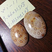 【正版保證】不一樣的今天，是某一天的想念 歷史價格詳細信息