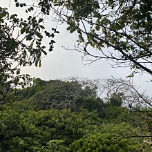 1040 一體成型 貼片 功率電感 1UH 2.2 4.7 10 22 33 47 68 100UH 歷史價格詳細信息