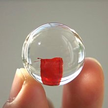 花花不退換 大童高密度材質運動長褲hc2722 hc2734 歷史價格詳細信息