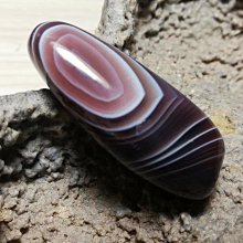 [聚優]瑪法特二代 HOKA ONE ONE Mafate Speed 2 Low 輕量 戶外越野跑款 歷史價格詳細信息