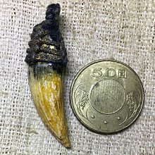 山喜屋詹麵/ 紅蔥豬油湯炊粉/ 3入　eslite誠品 歷史價格詳細信息