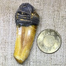H1307古著男西裝保羅·拉夫勞倫復古羊毛呢面料西服外套男裝vintage穿搭 歷史價格詳細信息