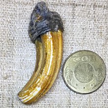 HB132 平成 地方自治五百圓紀念幣《奈良.廣島.沖繩.愛媛》卡裝 共4枚壹標 歷史價格詳細信息