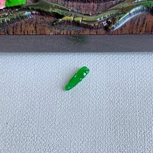 1015冰種陽綠樹葉～天然老坑A貨翡翠～啟京翡翠 歷史價格詳細信息