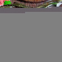 1025冰糯種辣綠平安扣～天然老坑A貨翡翠～啟京翡翠 歷史價格詳細信息