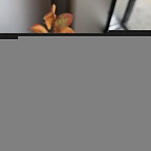 【現貨】平安扣翡翠吊墜緬甸老坑種玉佩扣子冰種飄花高貨玉墜高端項鏈送禮【祿卡商店】 歷史價格詳細信息