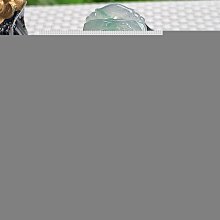 老坑緬甸翡翠A貨山水牌吊墜三彩黃加綠山水畫大氣掛件 歷史價格詳細信息