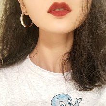 紅阿善拉石 隨機出貨1入 原礦 原石 礦石 標本 擴香石 J926 收藏 擺件 禮物 魚缸造景 616 歷史價格詳細信息