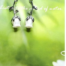 【正316不鏽鋼】5人份內鍋兩件組 歷史價格詳細信息