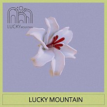 如沐春風｜YANGMA襪子女秋冬加絨泡泡襪加厚毛圈襪冬款保暖長筒襪 歷史價格詳細信息