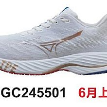 元禾〉MIZUNO男慢跑鞋 WAVE REVOLT 3  J1GC248502 歷史價格詳細信息
