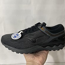 艾力克斯 MIZUNO WAVE SKYRISE 2 男 J1GC210953 黑灰編織 避震慢跑鞋 X5 歷史價格詳細信息