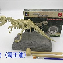 ????SuperPlayer????台灣現貨+發票 滾珠積木-DIY森林版168顆豪華版 歷史價格詳細信息