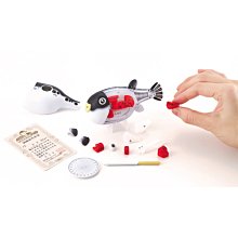 收納趣味益智方塊42款 (隨機出貨) 歷史價格詳細信息