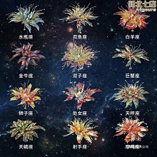 【熱賣】千川鯉6代魚竿戰神版5四代輕硬28調19竿長節手竿釣魚竿大物臺釣竿 歷史價格詳細信息