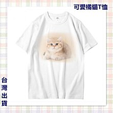 大橘貓大容量通勤包日系ins小眾帆布包純色百搭學生上課托特包女_佳美優品 歷史價格詳細信息