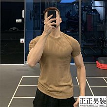 冰絲高彈速乾T恤 短袖T恤 夏季冰感 透氣 潮流 夏季短袖男 速乾 高彈 冰絲 歷史價格詳細信息