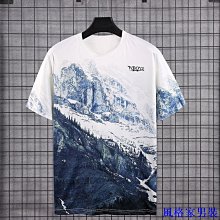 2024大學T短袖夏季短袖男純色t恤韓版潮流休閒polo衫翻領男裝青年純棉體恤-22號穿搭 歷史價格詳細信息