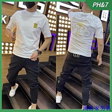 2024夏季男士印花背心運動健身背心男生 寬鬆型無袖t恤男 素色速乾 運動無袖 歷史價格詳細信息