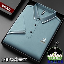 翻領短袖男 短袖POLO衫 速乾POLO衫 輕奢彈力冰絲polo衫男短袖夏韓版潮流時尚寬鬆冰感保羅衫上衣-22號穿搭 歷史價格詳細信息