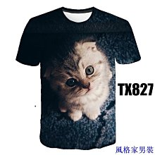 3D立體冰絲眼罩 歷史價格詳細信息