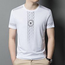 2024夏季冰絲格子polot恤短袖男寬松休閑薄款體恤無痕翻領男士t恤 男短袖t 男裝 歷史價格詳細信息