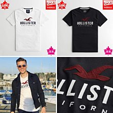 Hollister HCO  短袖t恤 刺繡款 海鷗 短袖 t 恤  大LOGO 衣服 短TEE 歷史價格詳細信息