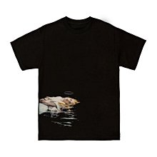 Angel精選 裕珍馨 烏豆沙蛋黃酥9入 嚴選台灣紅豆 屏東厚實鹹蛋黃 蛋奶素 多層次香濃 5件免運 歷史價格詳細信息