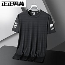 夏季新款冰絲短袖寬松速干男士薄款彈力t恤2024年t血跑步印花春天【台灣公司免稅開發票】 歷史價格詳細信息