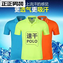 印刷：包郵速發：豎琴基礎教程 上 下冊/曹承筠路貓貓超夯 正品 現貨 歷史價格詳細信息