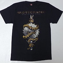 【血腥死亡營 Sleepaway Camp 1-3集】80年代不能錯過的恐怖狂殺作品 歷史價格詳細信息