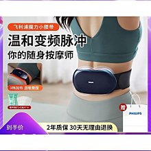 腰椎按摩器加熱脈衝拉伸熱敷頭磁石震動腰背部腰椎按摩儀按摩靠墊 歷史價格詳細信息