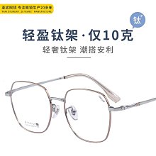 電鍍平光大框防水防霧成人泳鏡(YY-6311)-電鍍粉色 歷史價格詳細信息
