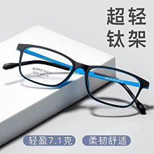 XP小戶型布藝沙發簡易客廳摺疊沙單人雙人三人沙發出租房沙發床 歷史價格詳細信息