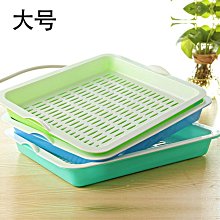 家用茶水茶盤托盤瀝水籃現代放杯子盤子茶杯杯盤水杯長~特價~特價 價格比較,價格查詢,歷史價格詳細信息