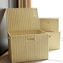 藤編收納筐儲物盒桌面雜物籃編織筐布藝收納籃子柳編收納盒小物件 歷史價格詳細信息