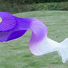 ((麻辣館))中東肚皮舞表演0206款竹骨長飄扇~舞蹈扇~表演扇~成果展. 歷史價格詳細信息