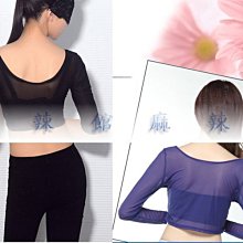 ((麻辣館)中東肚皮舞 若隱若現性感 22427長袖網紗內搭衣-------剩膚色 歷史價格詳細信息