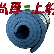 NBR環保瑜珈墊 厚10mm*180*90cm超寬.泡綿墊.床墊.地墊.運動墊.有氧墊.軟墊.送束帶.瑜珈袋╮瑜珈磚賣╭ 歷史價格詳細信息