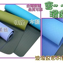 透氣環保TPE瑜珈墊6mm*173*61cm.地墊.軟墊.睡墊.野餐墊.運動墊.韻律墊.有氧墊.送背袋.束帶╮瑜珈磚賣╭ 歷史價格詳細信息