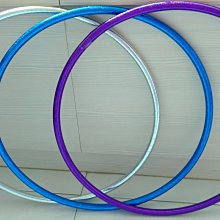 靈韻精制竹笛玉笛專業演奏/黑檀木鑲銀絲紅木笛子 全國包郵 送皮-特價 歷史價格詳細信息