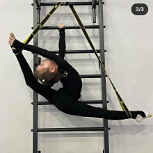 靈韻精制竹笛玉笛專業演奏/黑檀木鑲銀絲紅木笛子 全國包郵 送皮-特價 歷史價格詳細信息